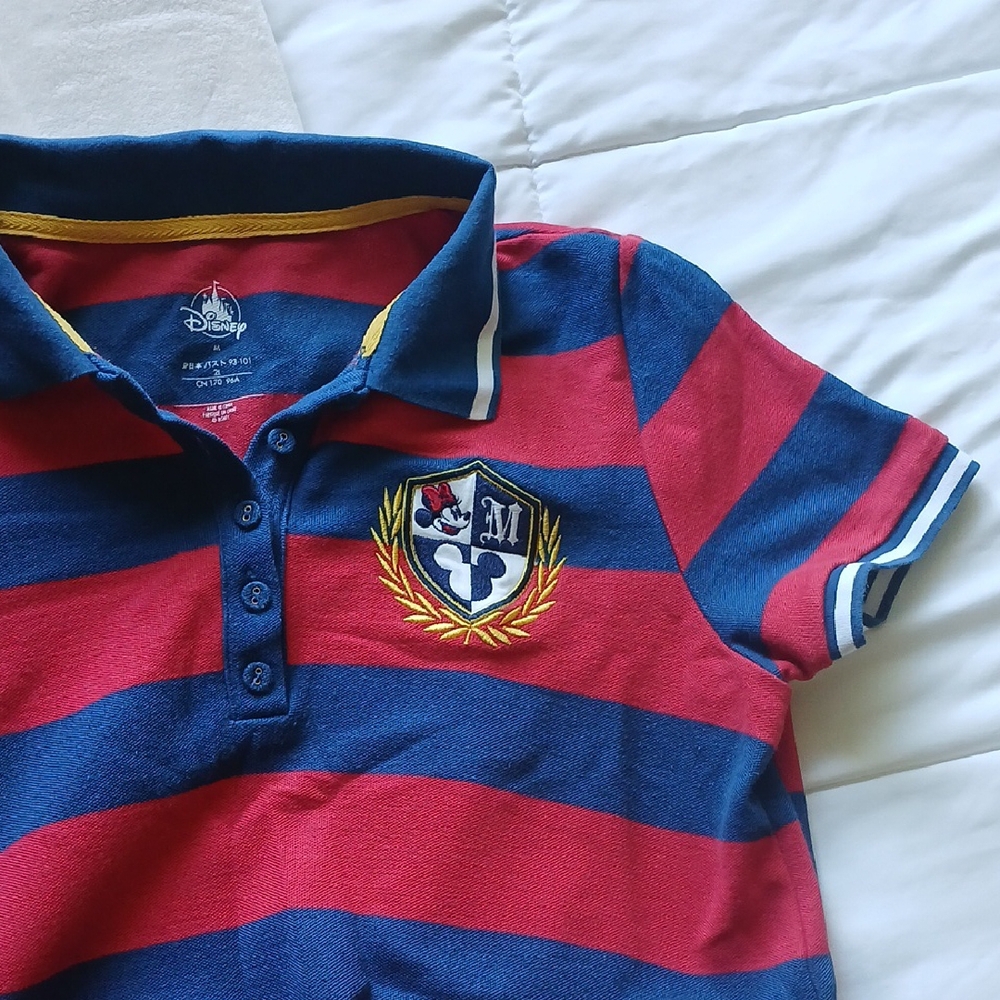 Disney Minnie Red and Blue Striped Dress